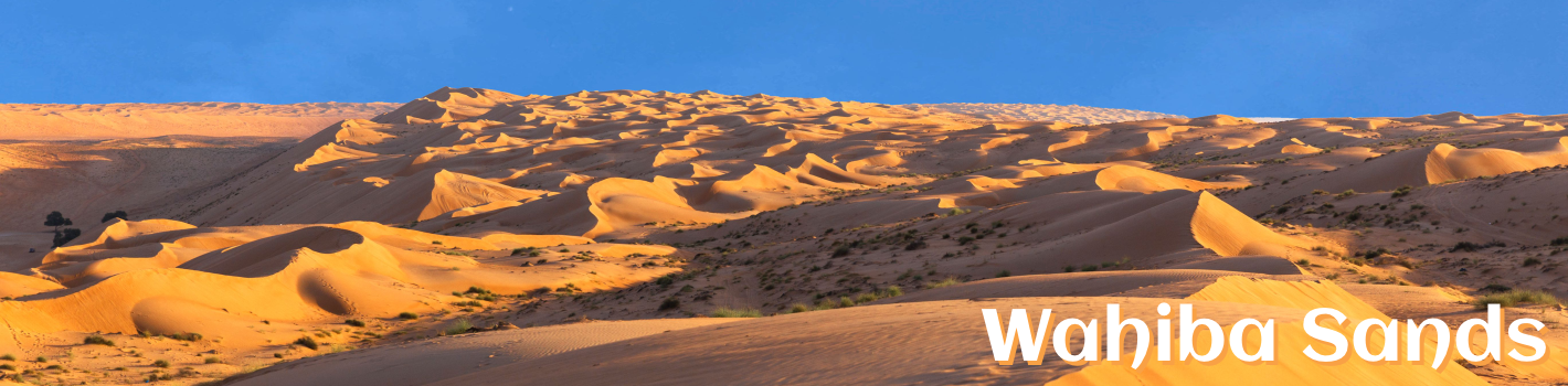 Essential Oman
