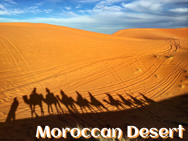 Kasbahs & Deserts